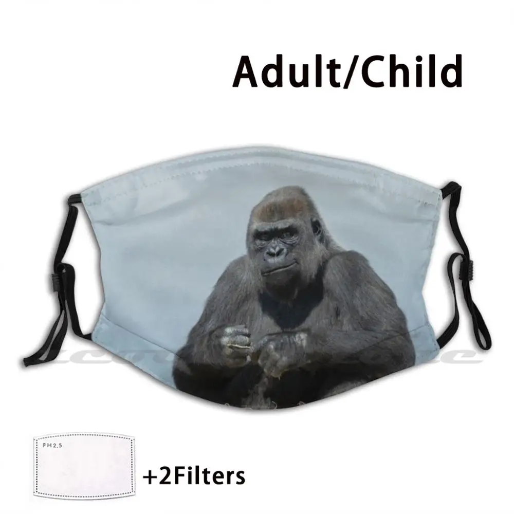 

Моющаяся маска с узором Gorilla Mother Ozala Pm2.5 для взрослых и детей, маска Gorilla Mother Ozala Gorilla Ozala Twycross Zoo