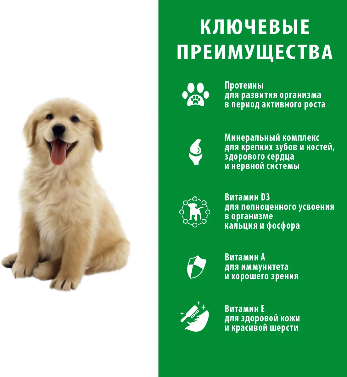 FRAIS BABY DOG MAXI LAMB СУХОЙ КОРМ ДЛЯ ЩЕНКОВ КРУПНЫХ И ГИГАНТСКИХ ПОРОД С МЯСОМ ЯГНЕНКА 15