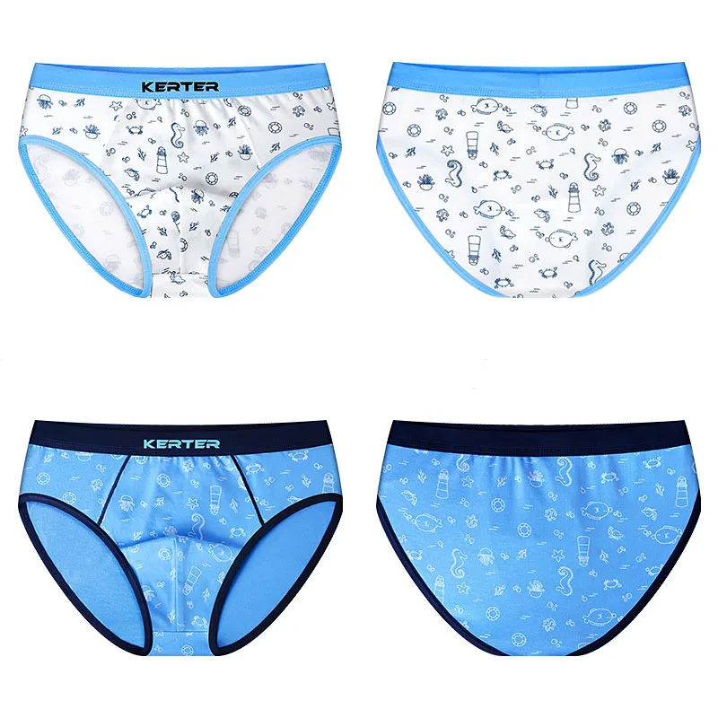 4pcs/pack Boys Boxers Underwear Cute Dinosaur Print Shorts Teenage Panties Toddler Baby Clothes Cotton Panties Kids Underpants