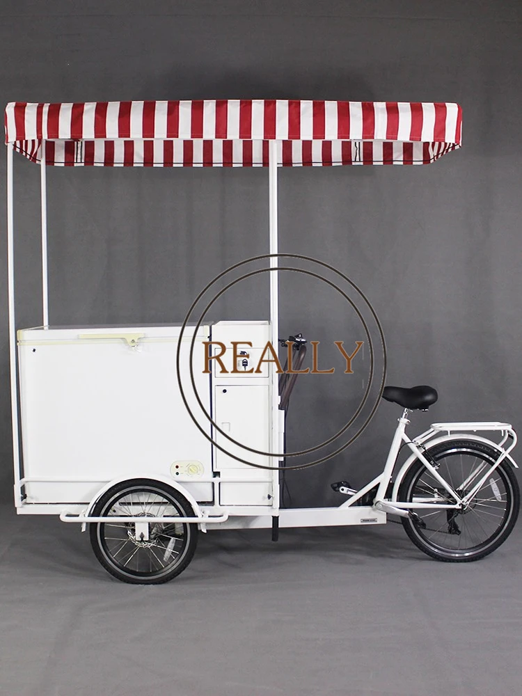 Трехколесный Электрический Грузовой Велосипед семейный взрослый трехколесный