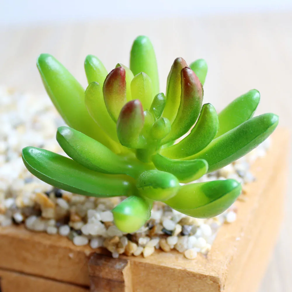 Искусственные суккуленты для украшения растение лотоса трава пустынный