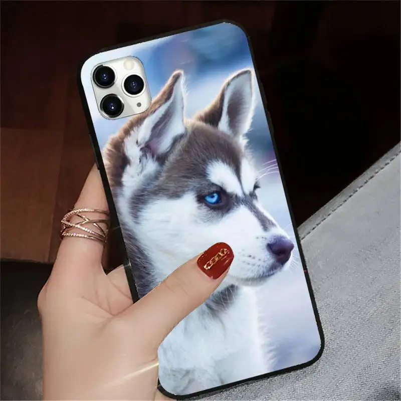 

husky high quality animal high quality Phone Case for iPhone 11 12 pro XS MAX 8 7 6 6S Plus X 5S SE 2020 XR