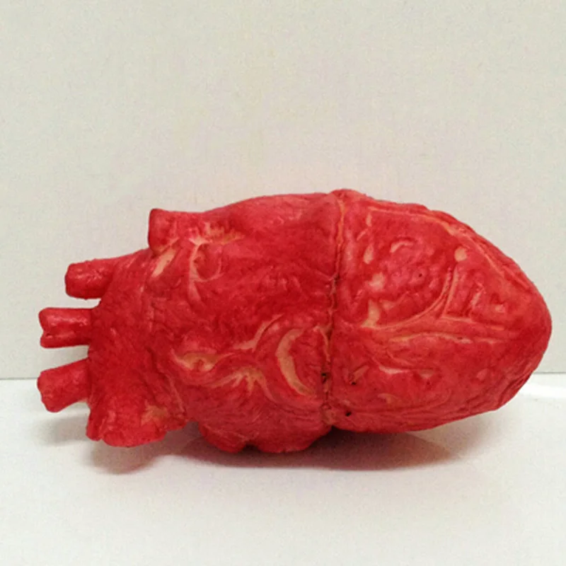 Кровавая зомби еда человеческое сердце отбивной магазин часть тела орган