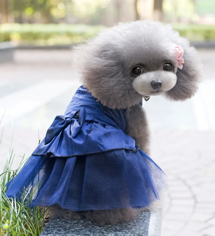 

New pet clothes dog skirt baby cat spring and summer teddy little princess tutu dress teddy dress