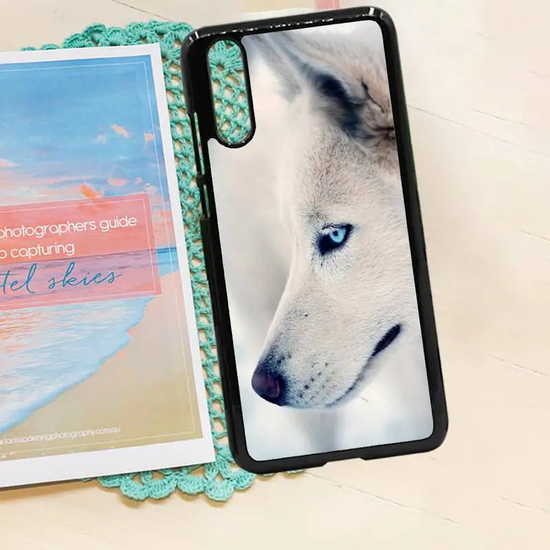 

Moon wolf animal Phone Case PC for iPhone 11 12 pro XS MAX 8 7 6 6S Plus X 5S SE 2020 XR