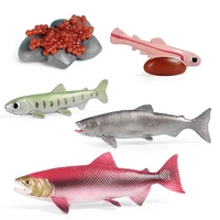 salmon fish simulation action figure toys animal grown life cycle figurine animals model learn teaching tools for chidlren