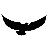 soaring bird eagle spread wings car decal sticker cool graphics car sticker