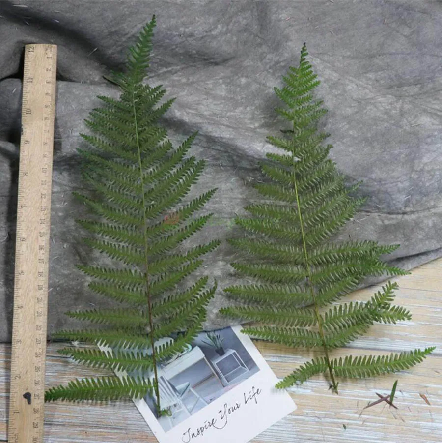 Консервированный зеленый Pteris Cretica L. 10 шт. Папоротник лист цветок ветка для букета