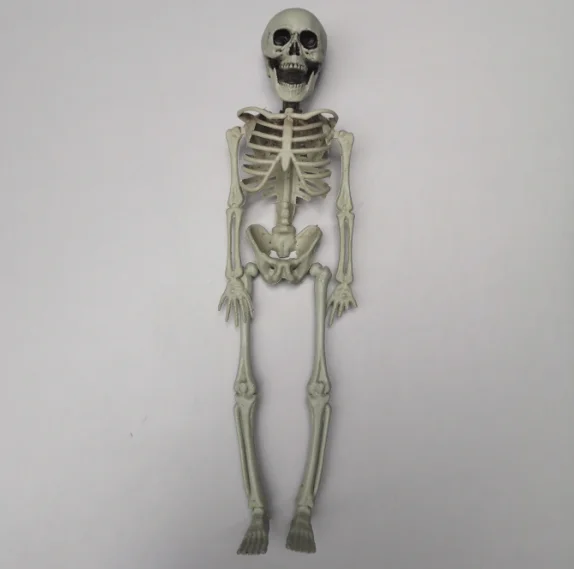 Настраиваемый полноразмерный человеческий скелет украшение на Хэллоуин