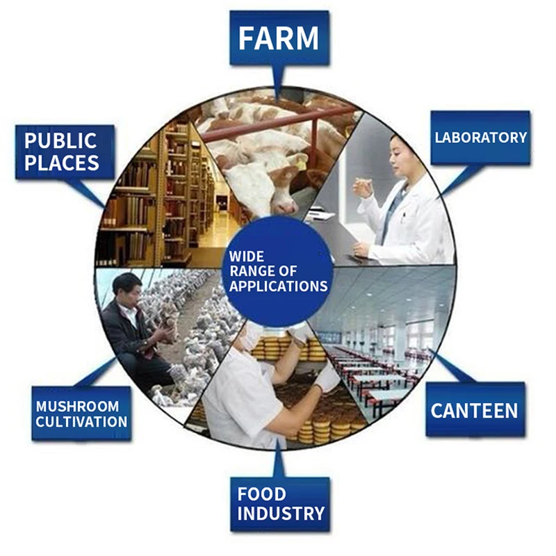 

80g/h Ozone Generator Food Factory Farm Ozone Sterilization Tool 110/220V Ozone Sterilization Machine Deodorant Odor With Timer