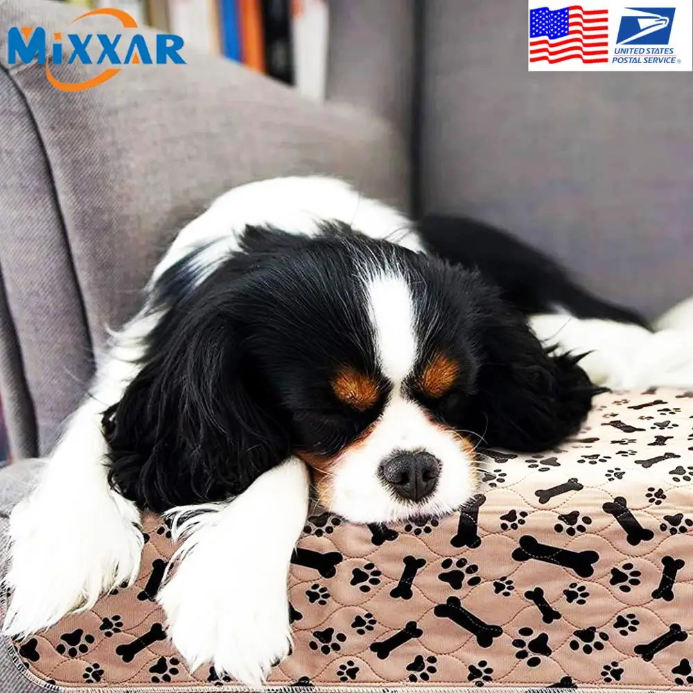 Günstig hundebetten usa