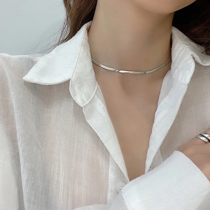 

Titanium Steel Snake Bone Chain Necklace Fashion Ol Style Simple Necklace Cool Wind Clavicle Chain Net Red Ins Wind Neck Chain