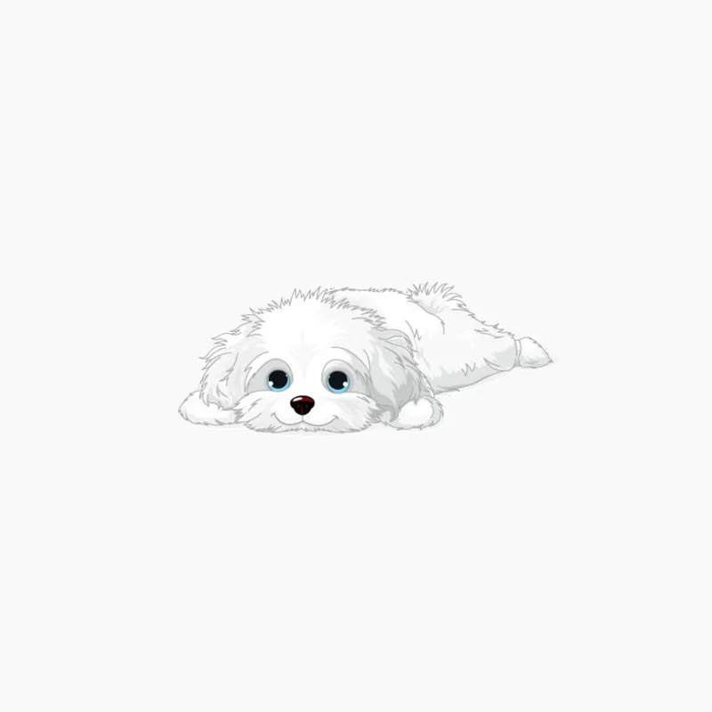 

Funny Cute Havanese Puppy Car Stickers Waterproof Bumper Skateboard Suitcase Decoration Colorful Sticker Decals PVC 12cm X 5cm