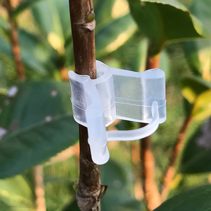 50 шт./упак. Пластик прозрачный зажимы для трансплантата растений выращивания