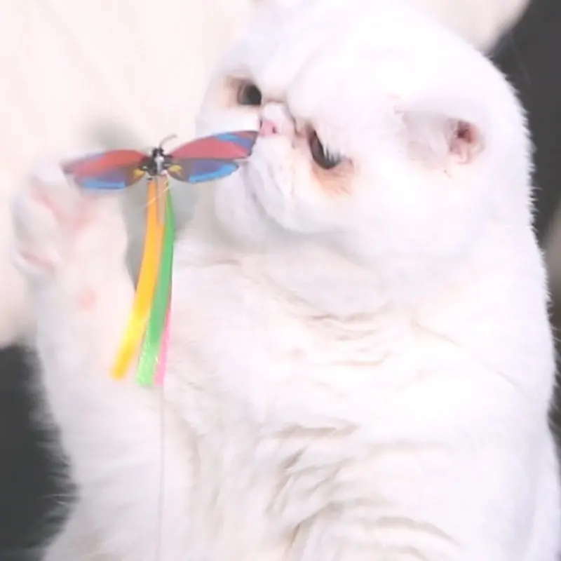 Rotating Cat Toy Colorful Butterfly Funny Pet Dog Kitten Interactive Training Turntable 2-Level Tower Tracks Ball Toys | Дом и сад