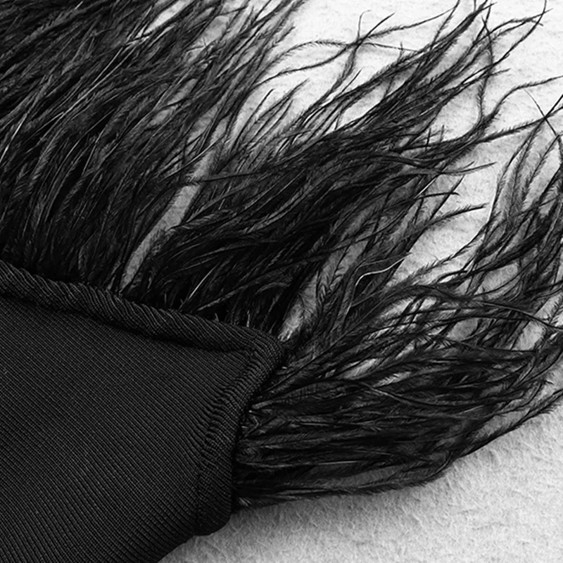 VC все Бесплатная доставка Горячая Стильная черная перо дизайн сексуальное без