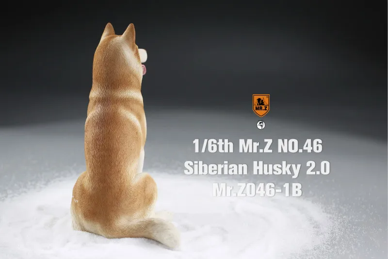 Mr.Z 1/6 сибирская Хаски 2 0 модель собаки украшение в виде животного настольные
