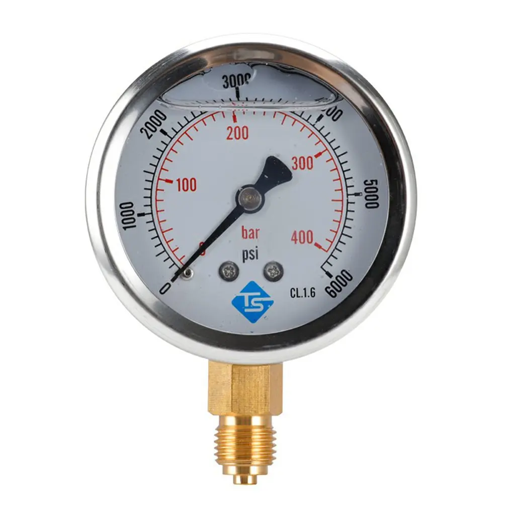 

Axial Pressure Gauge High-precision Stable Barometer Oil Pressure Gauge Water Pressure Gauge TS-PGG604-400bar Y60