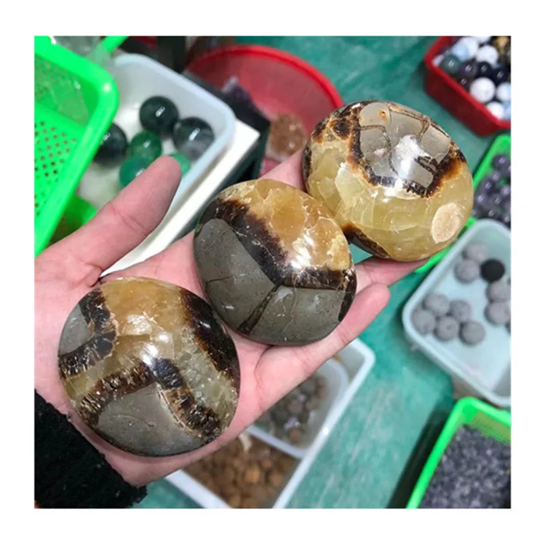 

Натуральные полированные лечебные камни из септарийского кристалла пальмы для продажи