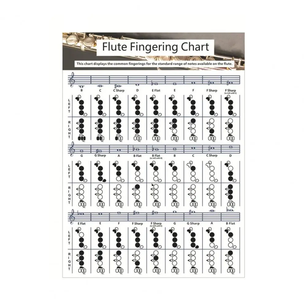 Профессиональная Таблица флейт для гитары таблица измерения пальцев обучения