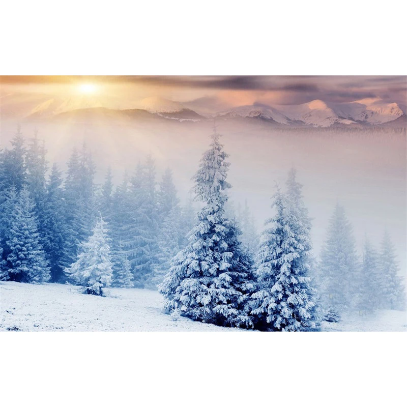 

Big Decor Nature Poster For Room Aesthetic Vintage Winter Poster Wall Art Bedroom Cuadros Decorativos Living Room Decoration