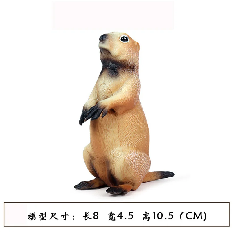 New Simulation Toys Solid Plastic Model Mouse Chipmunk Groundhog Squirrel Wild Animal World Decoration | Игрушки и хобби