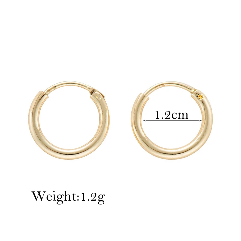 Hoop Charm Новые базовые серьги-кольца ювелирное изделие "Морская звезда" Роза цветок оболочки кактус подвеска с перьями золотой цвет маленькие серьги-кольца для женщин - Окраска металла: Hoop Charm