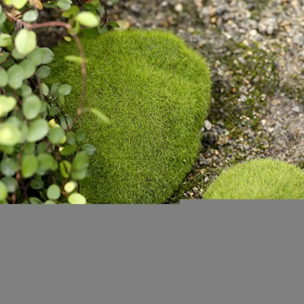 

Micro artificial landscape grass moss stone figurine accessories decoration miniature 1pc decoration home fairy garden bons K3C8