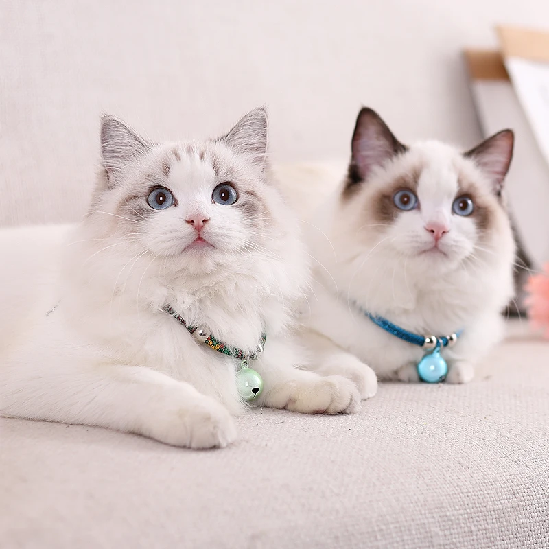 

Pet Products