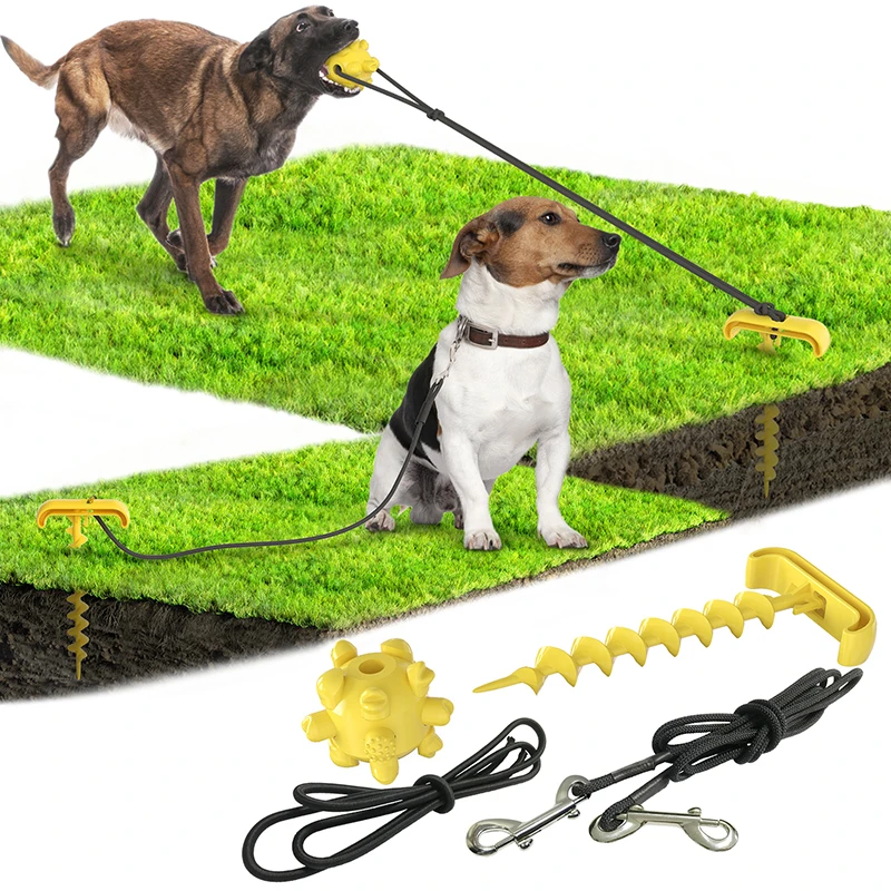 

Outdoor Pet Leash Dog Fixing Nail Bolt Dog Ground Nail Molar Biting Dog Toy Rubber Chewing Ball Cleaning Teeth Interactive Toy