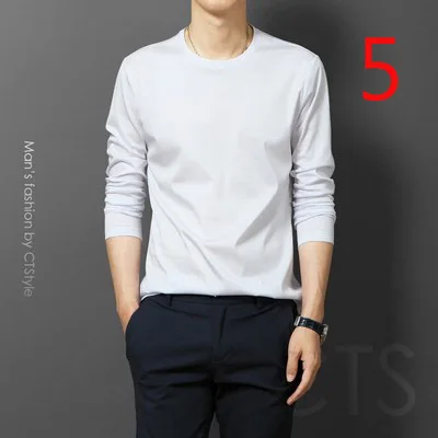 

2019 spring and autumn 100% wool long-sleeved T-shirt men's thin section