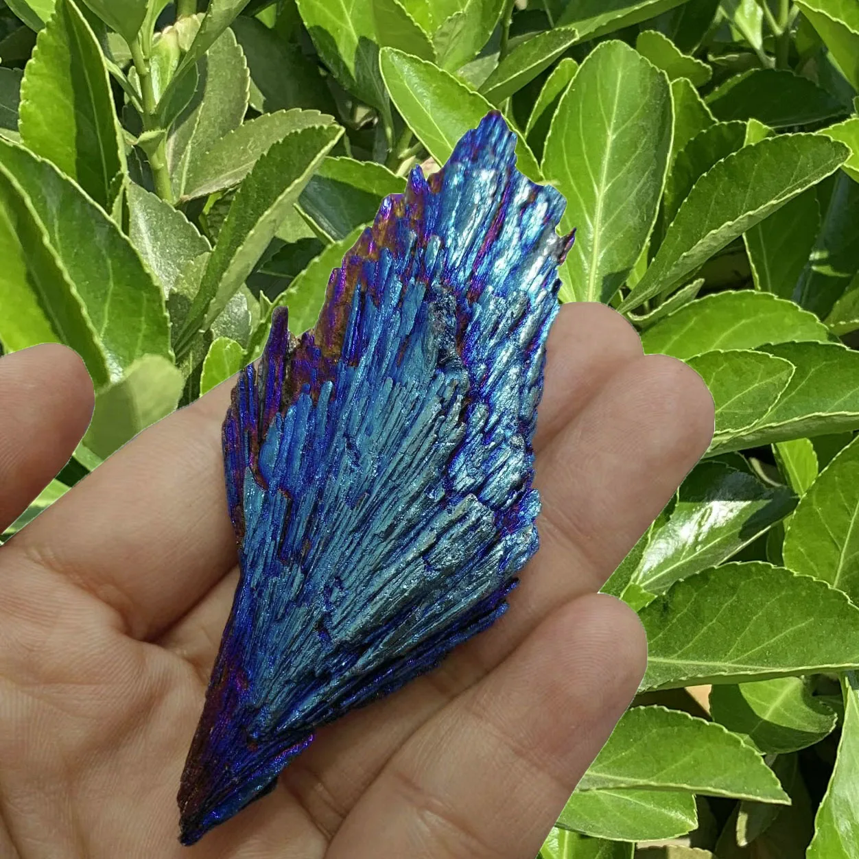 

Натуральный высококачественный ореолом Турмалин синий перо исцеления и гальваническим покрытием, с украшением в виде кристаллов каменный ...