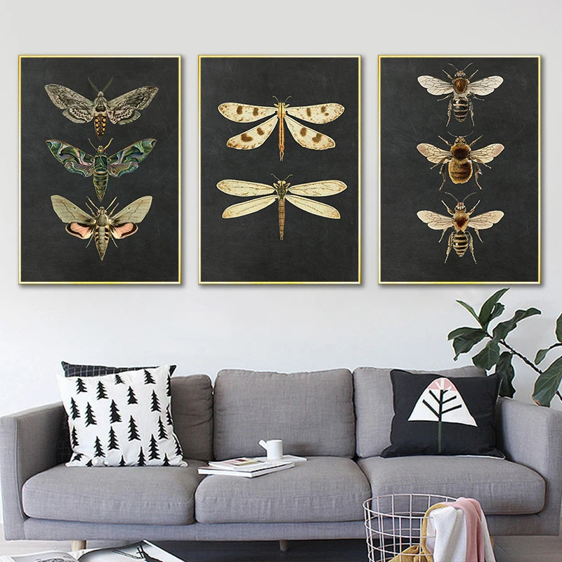 

Black Insect Specimen Canvas Painting Butterfly Dragonfly Bee Nordic Poster Wall Art Print Modern Living Room Decoration Picture
