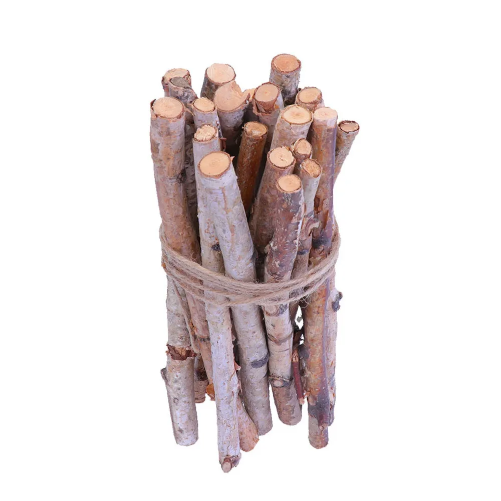 

22 Pcs Natural Wood Log Sticks Dry Branches DIY Crafts Photo Props Craft Sticks