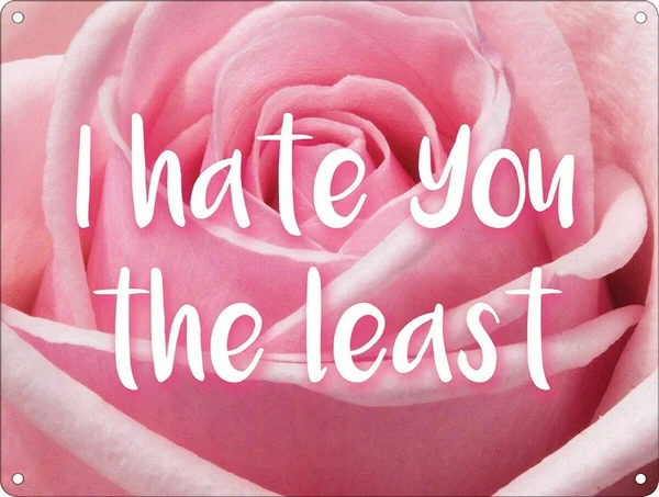 Жестяной знак I Hate You самое маленькое украшение для кофейного бара домашний
