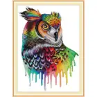 Joy Sunday DIY разноцветный рисунок с животными Радуга сова, крест набор стежков DMC 14ct 11ct вышивка швейный набор украшение для дома живопись