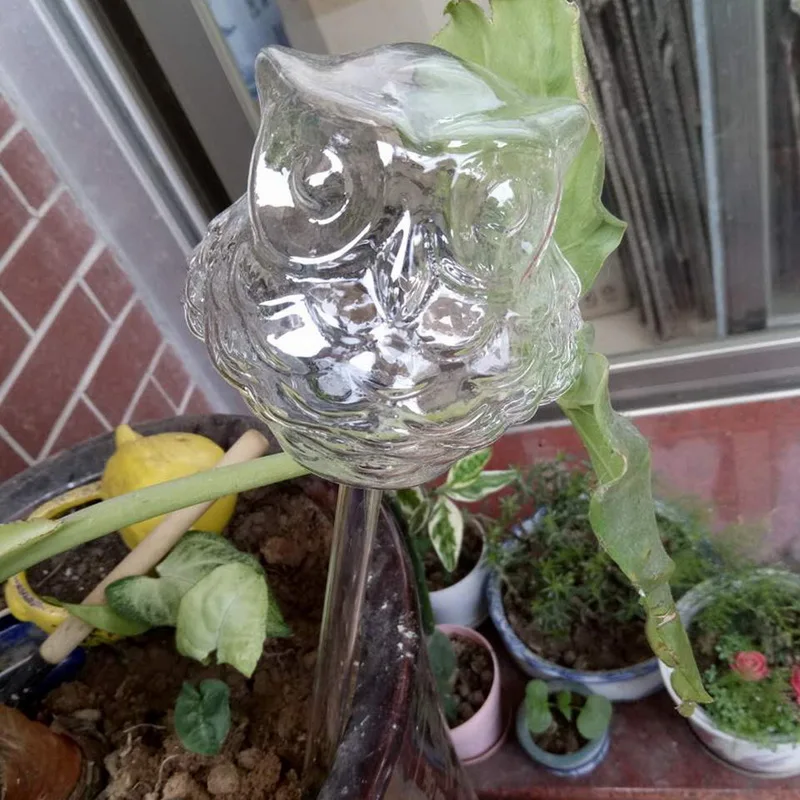 8 Kinds Of Glass Flowers Water Plants Automatic Feeder Auto Watering Devices Bird Star Heart Design Flora Waterer | Дом и сад