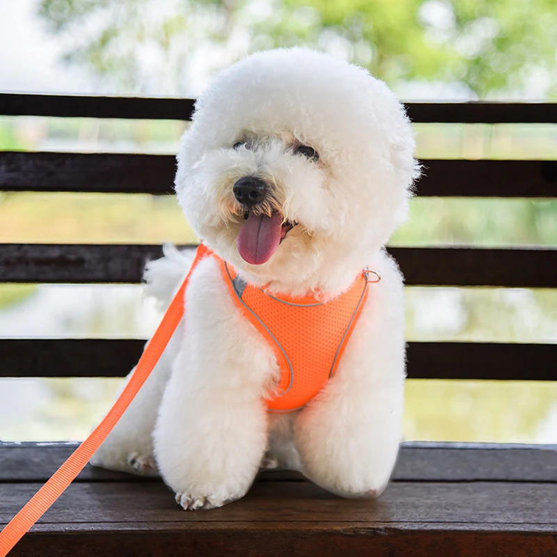 

Breathable Puppy Mesh Harness Soft Padded Dog Leash Small Dogs Cats Harness Vest Frech Bulldog Pug Chest Sraps Dog Accessories