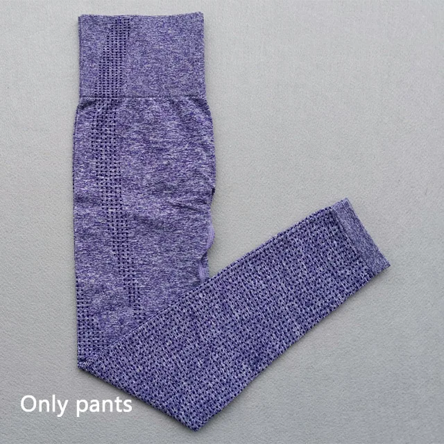 Purple pants Женский спортивный костюм из 2 предметов, футболки с длинным рукавом, укороченный топ, бесшовные Леггинсы для йоги, комплект для йоги, одежда для спортзала, фитнес-костюм, комплект для тренировок - Цвет: Purple pants