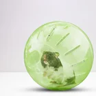 1 шт., мини-шар для домашних животных