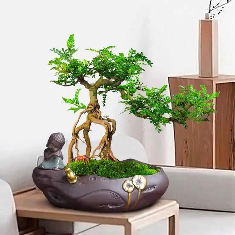 

Flower Pot Creative Ceramic Home Desktop Green Plant Potted Soil Cultivation Fortune Tree Wenzhu Succulent Pot