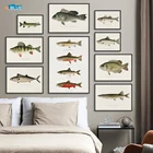 Настенная роспись с изображением рыбной породы, ВИНТАЖНЫЙ ПЛАКАТ с принтом рыбы, картина с изображением пресноводной рыбы, холст, домашний декор для гостиной