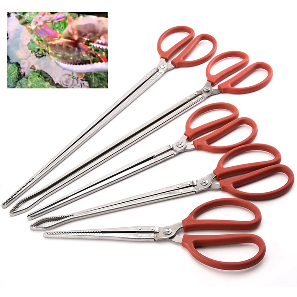 Угрей зажим усиленный прочный морепродукты Многофункциональный краб щипцы