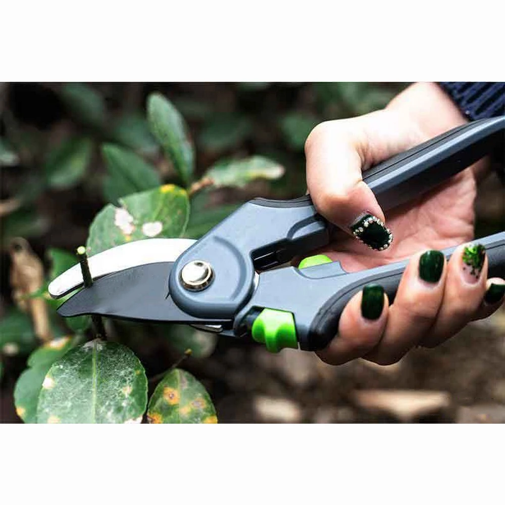 

Gardening Pruning Shears 35mm Plant Trim Horticulture Hand Pruner for Fruit Trees Flowers Branches Scissors Cutter Hand Tools