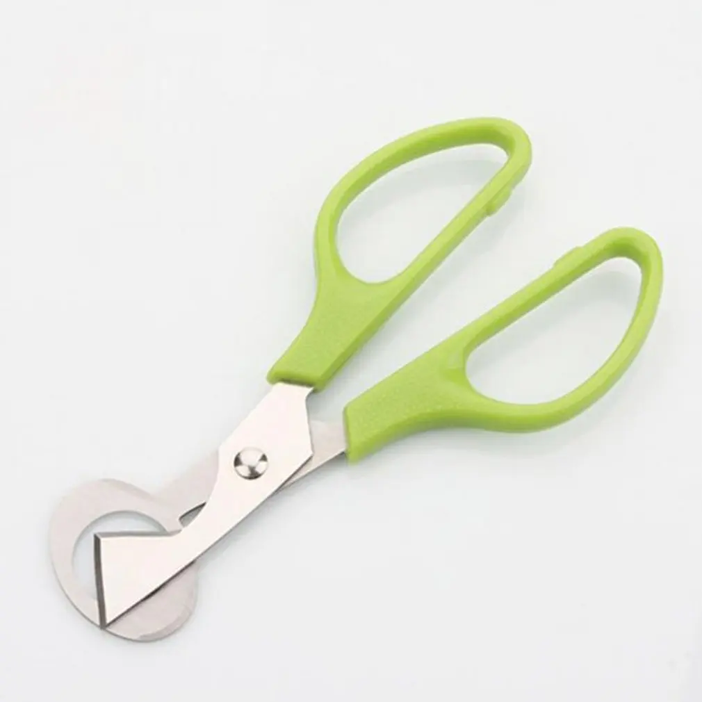 

Pigeon Bird Quail Egg Cutter Tool Quail Egg Scissors Opener Cracker Stainless Steel Blade Kitchen Tool Clipper Green 1 Pack