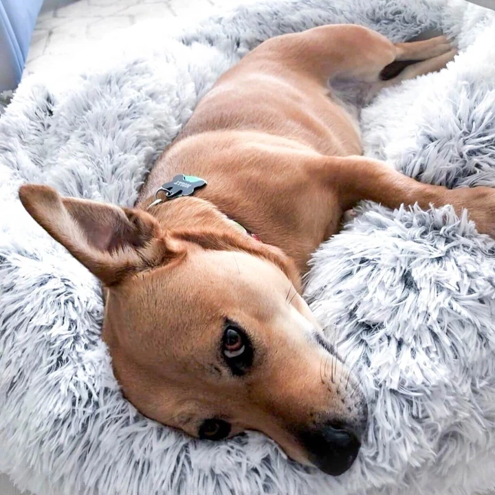 Пончика кошки кровать искусственный мех собачьих кроватей для средних и мелких