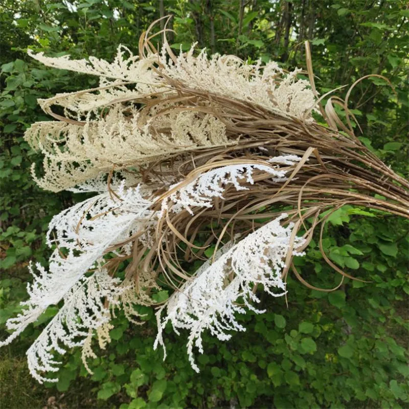 

7Pcs Fake Long Stem Snow Reed (3 stems/bunch) 46.1" Length Simulation Autumn Reeds for Wedding Home Decorative Artificial Plants