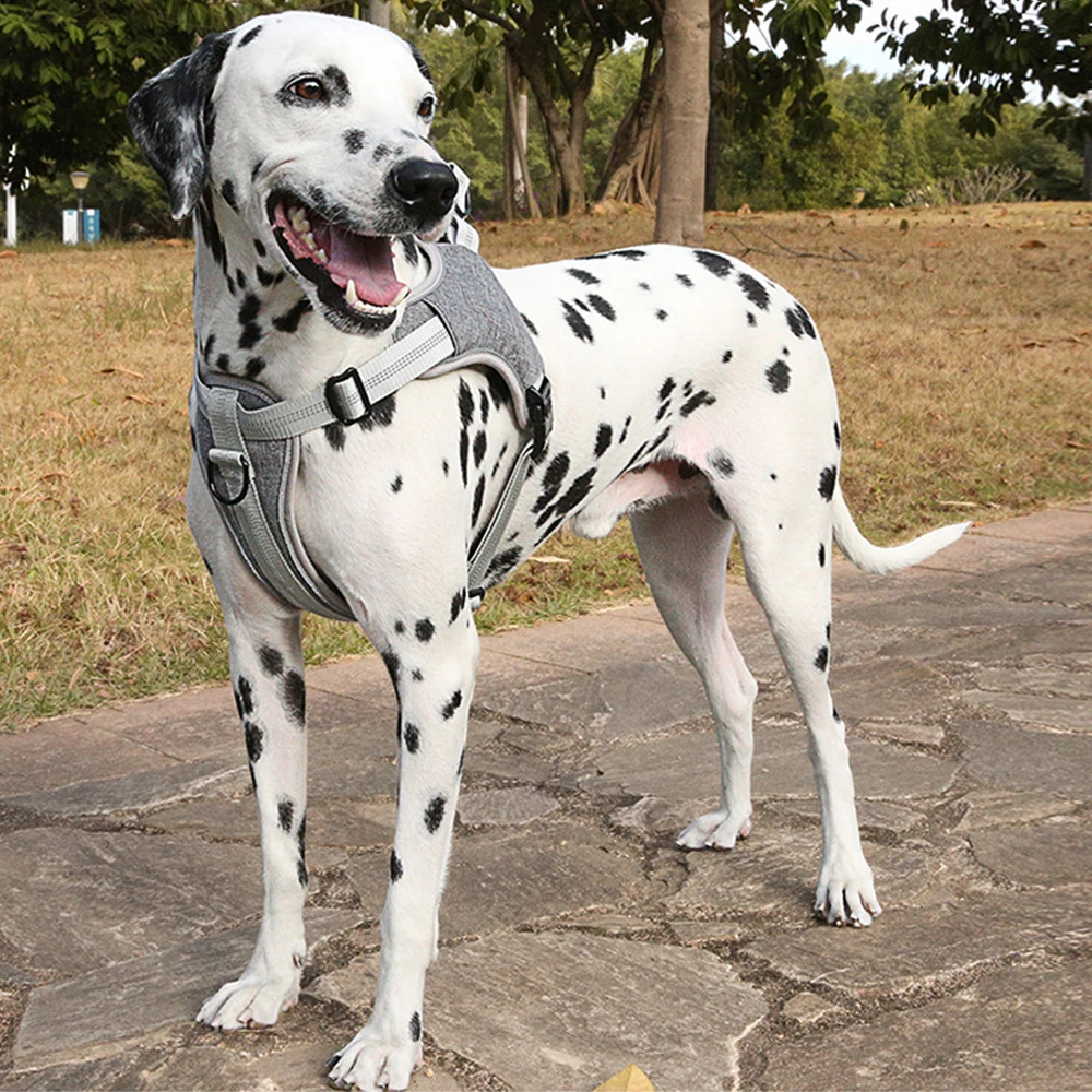 Светоотражающая шлейка для собак мягкая дышащая сетка регулируемая легкая в