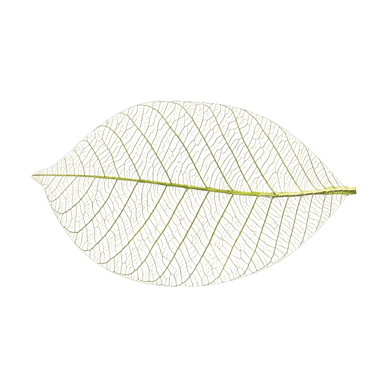 

Leaf Fashion Diatomite Bath Mat Fast Drying Non-slip Bath Mat Decoration Absorbent Carpet Tapis Salle De Bain Bathroom Amenities