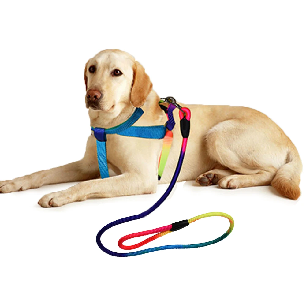 

Adjustable Rainbow Cat Leash Harness Nylon Colorful Leashes Outdoor Safety Walking Traction Rope For Lead Belt Pet Supplies